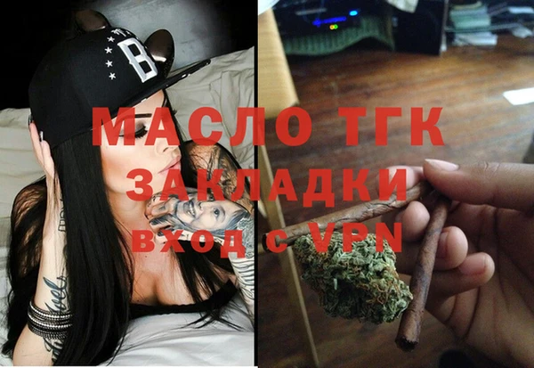 шишки Саяногорск