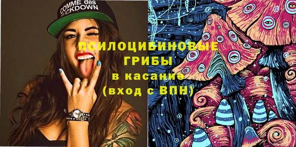 a pvp Верея