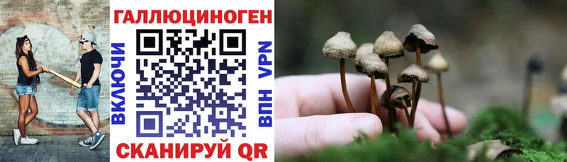 Псилоцибиновые грибы мухоморы Кизляр