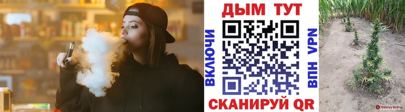 Бошки Шишки ГИДРОПОН  Кизляр 